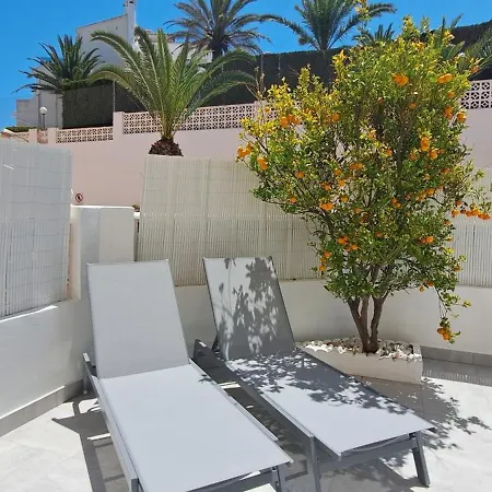 X Appartement